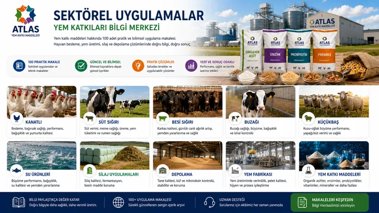 Buzağı Sütten Kesim Döneminde Katkı Planı